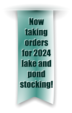 Now taking orders for 2024 lake and pond stocking!