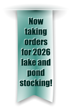 Now taking orders for 2026 lake and pond stocking!
